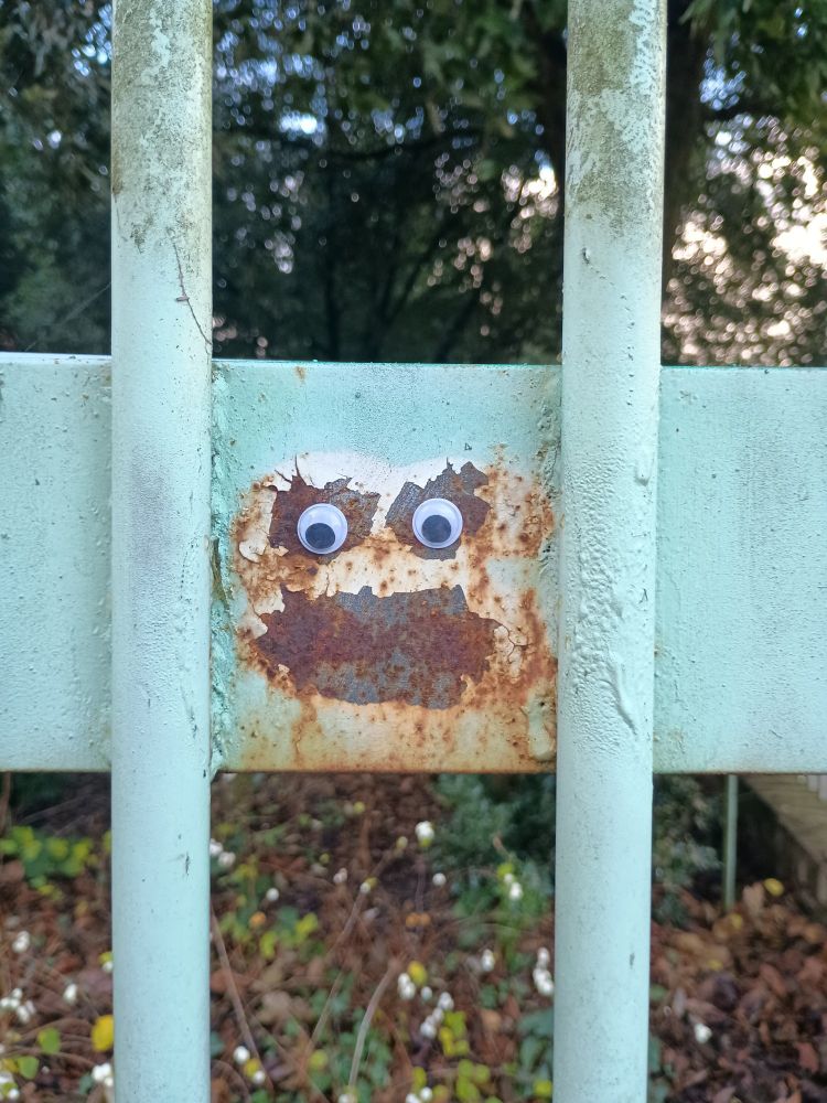 A metal fence with rust patches on it, upon which some genius has placed two googly eyes making a face like Cookie Monster 