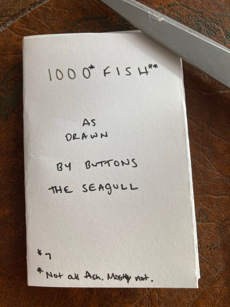 A zine titled “1000* Fish**, as drawn by Buttons the Seagull 
*7
**Not all fish. Mostly not.
