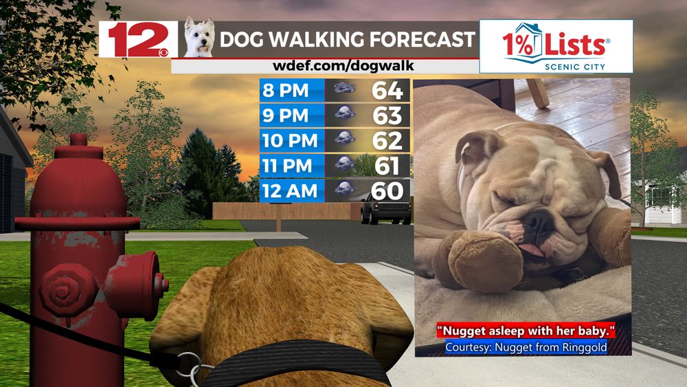 #WDEFWeather #News12Weather 1% Lists Scenic City 1% Lists Scenic City @1-Percent-Lists-Scenic-City Dog Walking Forecast for Tuesday evening. 