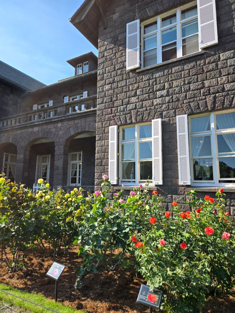 旧古河庭園
建物と薔薇