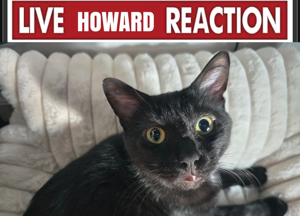 A pic Kate took of Howard where he's looking like the kid at the end of Come and See. It says Live Howard Reaction chyron above him 