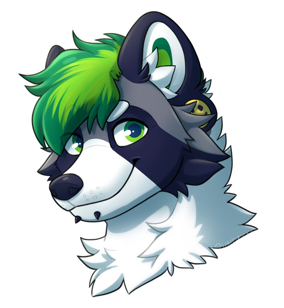 A grey raccoon with a green hairstyle and green eyes. They have spiked snake bite piercings and ear piercing plugs with a smiley face design.