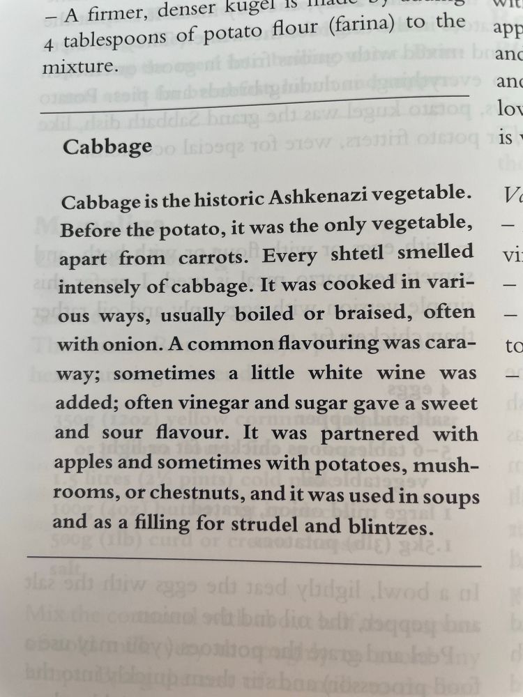Cabbage

Cabbage is the historic Ashkenazi vegetable
Before the potato, it was the only vegetable, - apart from carrots. Every shtetl smelled
intensely of cabbage. It was cooked in various ways, usually boiled or braised, often with onion. A common flavouring was caraway; sometimes a little white wine was added; often vinegar and sugar gave a sweet and sour flavour. It was partnered with apples and sometimes with potatoes, mush-rooms, or chestnuts, and it was used in soups and as a filling for strudel and blintzes.