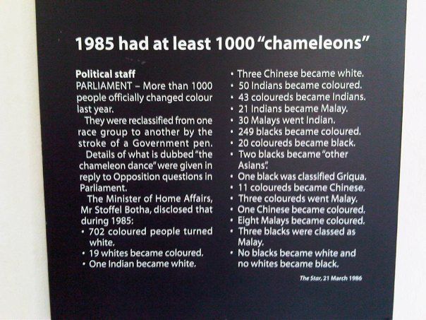 Museum plaque of a news clipping:

1985 had at least 1000 "chameleons"
Political staff PARLIAMENT - More than 1000 people officially changed colour
last year. They were reclassified from one race group to another by the
stroke of a Government pen. Details of what is dubbed "the chameleon dance" were given in reply to Opposition questions in
Parliament. The Minister of Home Affairs, Mr Stoffel Botha, disclosed that
during 1985: • 702 coloured people turned
white,
• 19 whites became coloured,
• One Indian became white.
• Three Chinese became white.
• 50 Indians became coloured.
• 43 coloureds became Indians.
• 21 Indians became Malay.
• 30 Malays went Indian.
• 249 blacks became coloured.
• 20 coloureds became black.
• Two blacks became "other
Asians!
• One black was classified Griqua.
• 11 coloureds became Chinese.
• Three coloureds went Malay,
• One Chinese became coloured.
• Eight Malays became coloured,
• Three blacks were classed as
Malay, • No blacks became white and
no whites became black,
The Star, 21 March 1986