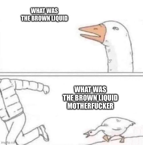 the goose chase meme format with the goose saying “what was the brown liquid” and then “WHAT WAS THE BROWN LIQUID MOTHERFUCKER” to the man in the coat