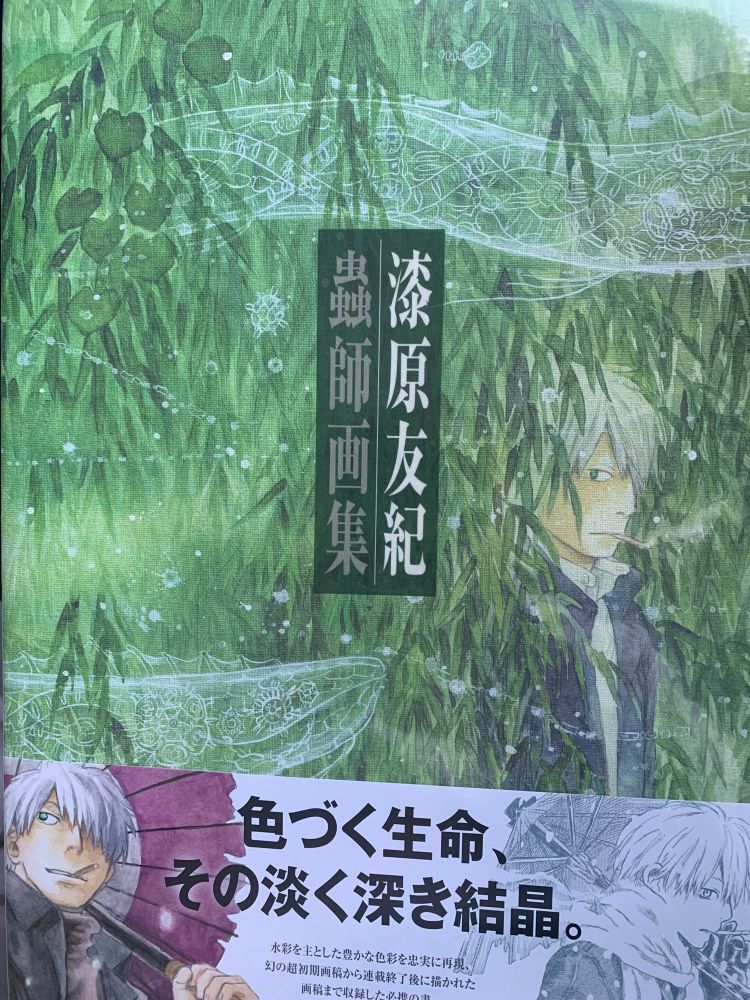 The cover of the Mushishi artbook by Yuki Urushibara