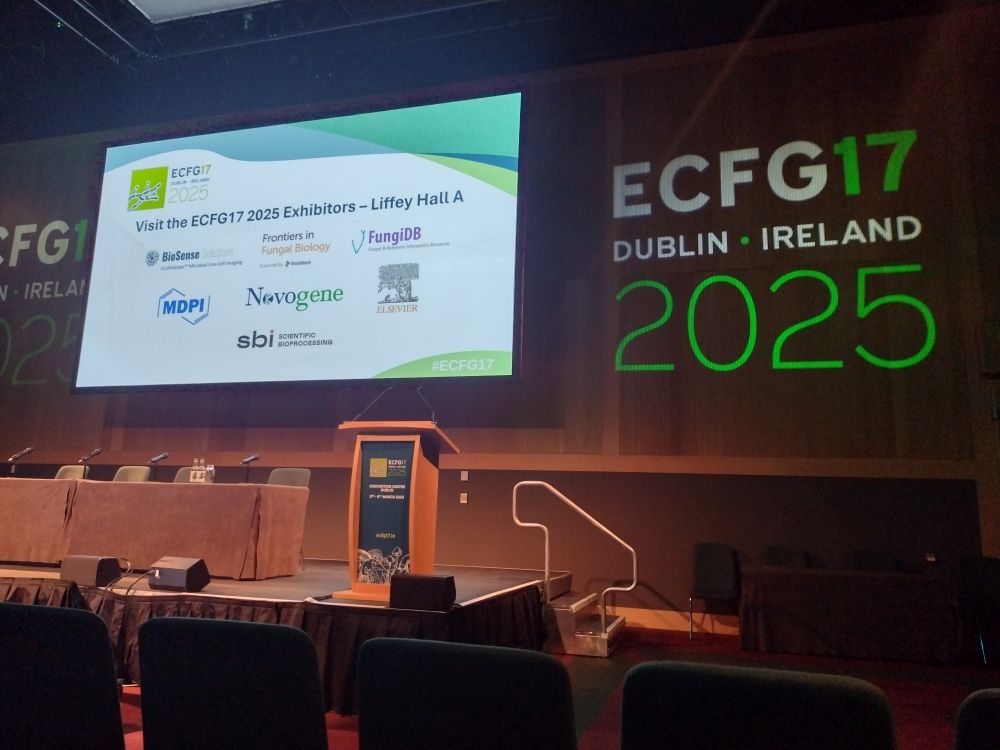A photo of a scene with ECFG17 logo and text saying 'ECFG17 Dublin Ireland 2025' 
