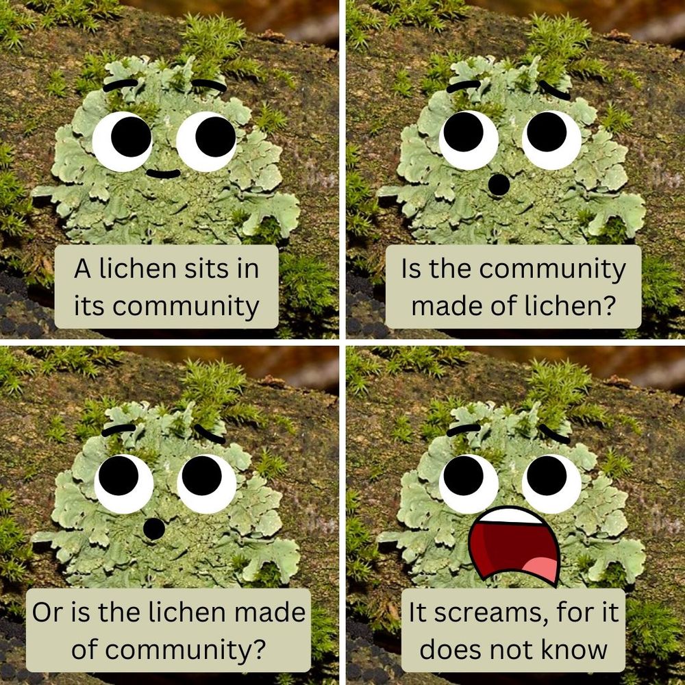 A meme with 4 panels showing a lichen with a cartoonish face drawn on it. The text says: “A lichen sits in a community. Is the community made of lichen? Or is the lichen made of community? It screams, for it does not know”.
