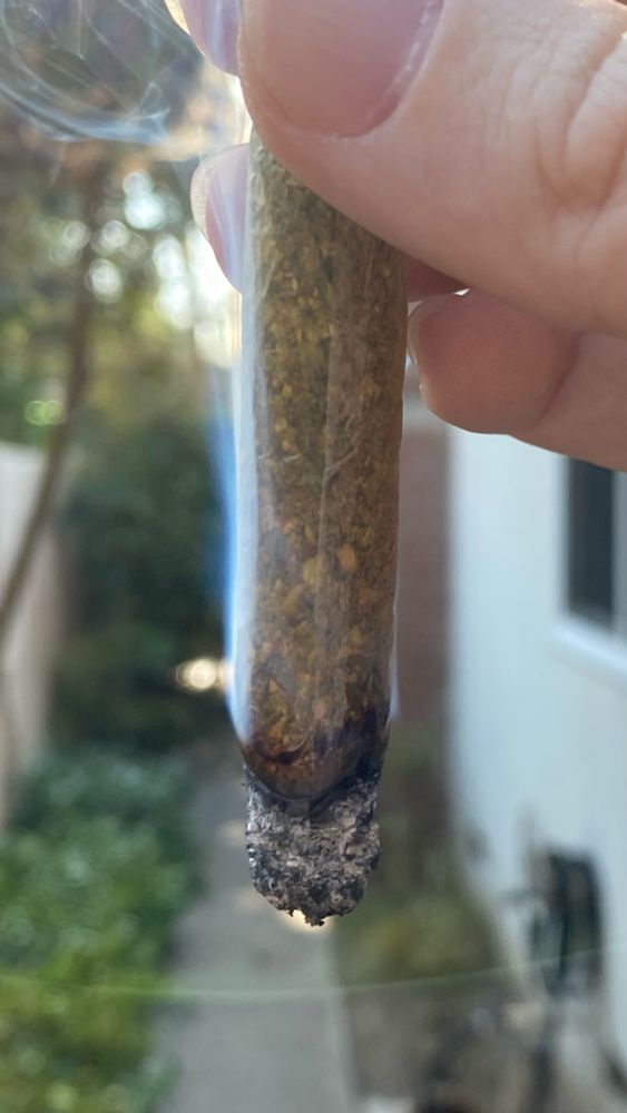 A fatass doink burning perfectly