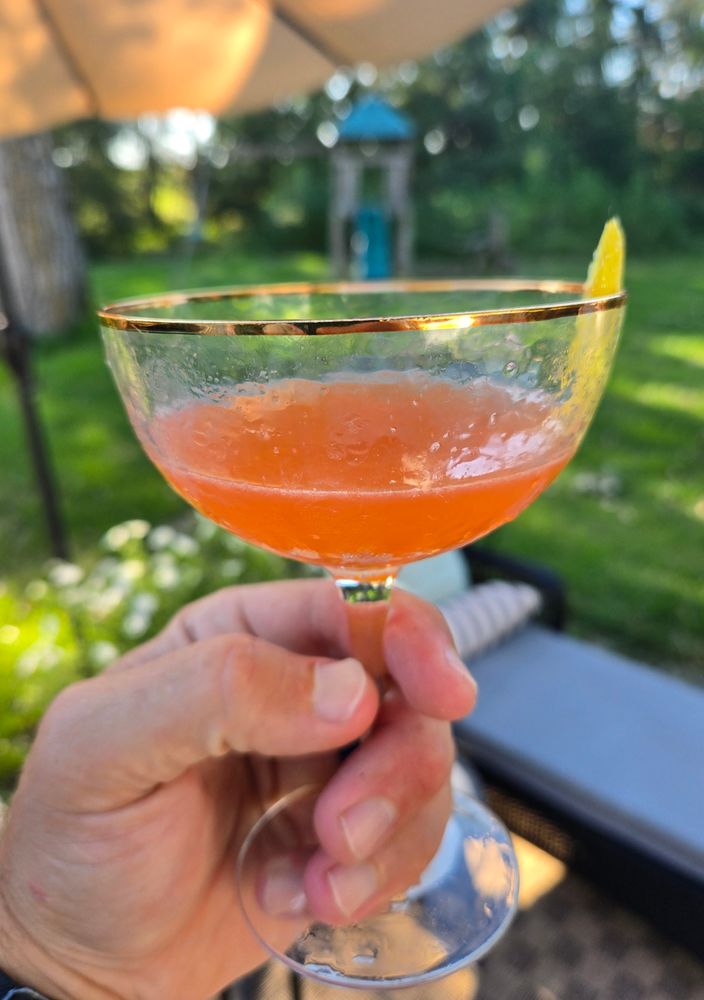A Paper Plane cocktail in my back yard