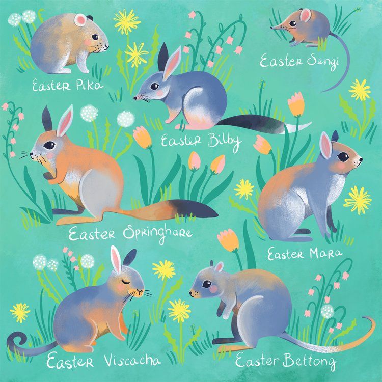 Illustration of cute furry critters from around the world who could make good alternative Easter animals. Pika, Sengi, bilby, springhare, Mara, Visacha, Bettong.