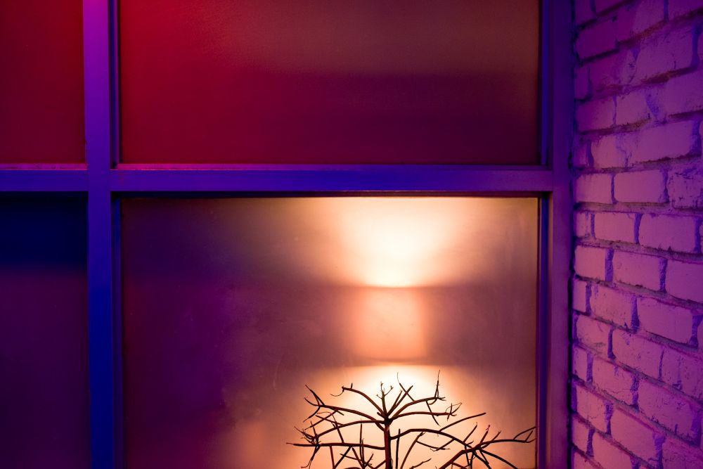 Window with red purple ish light, leafless bush