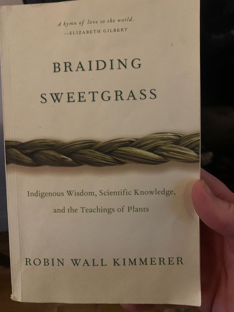 A cream coloured cover book with a braid of sweetgrass bisecting its cover is held up on right side by a hand just in frame. The text in all caps light green serif reads “Braiding Sweetgrass” at the top and “Robin Wall Kimmerer” on the bottom. The subtitle in script reads “Indigenous Wisdom, Scientific Knowledge and the Technology of Plants.” 