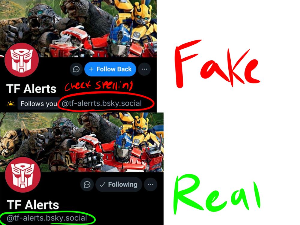 Above is the FAKE tf alerts account with the handle @tf-alerrts.bsky.social. below is the REAL tf alerts account with the handle @tf-alerts.bsky.social. fake is circled in red with the text "check spelling" above it. The real one is circled in green