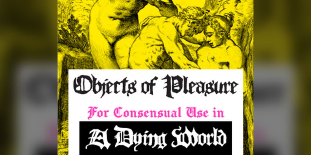 Objects of Pleasure for Consensual Use in a Dying World by GeorgFK