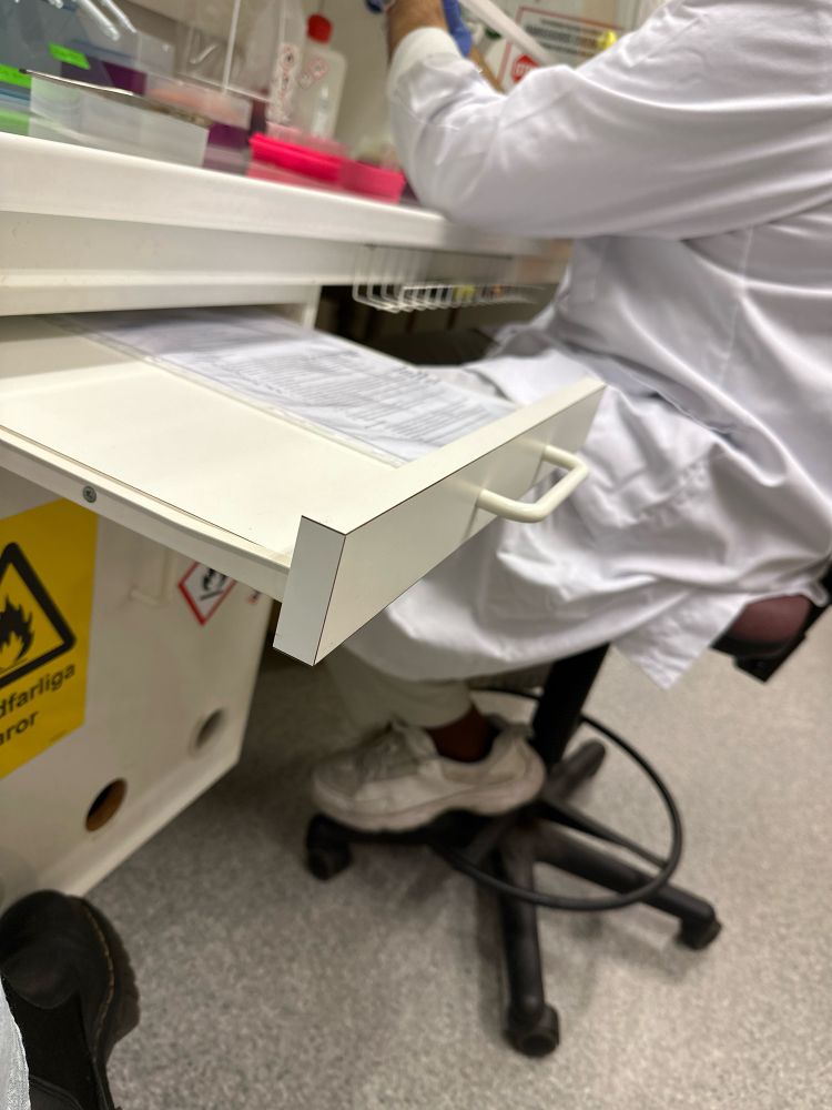 Person working on an experiment in a ventilated hood