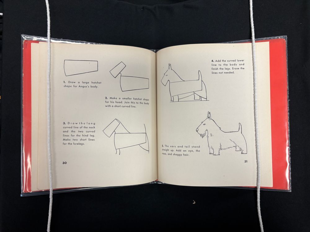 Book open to pages that give step-by-step instructions on how to draw a simple Scottish Terrier.