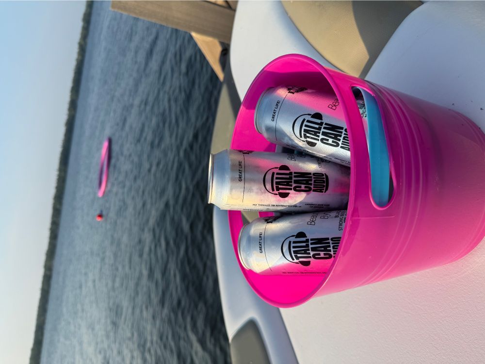 A photo of 3 cans of beer in a summery pink bucket on the back of a boat with a sunny lakeside view in the background 