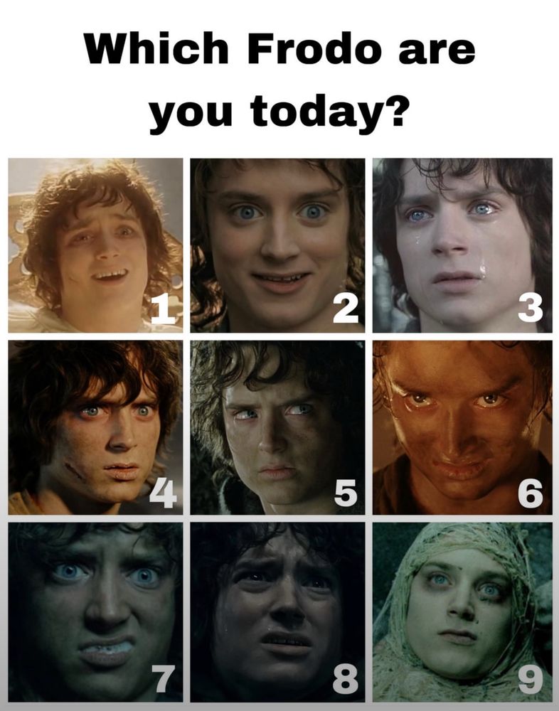 A graphic asking “Which Frodo are you today” featuring 9 ridiculous Frodo faces as depicted by Elijah Wood in the Lord of the Rings trilogy