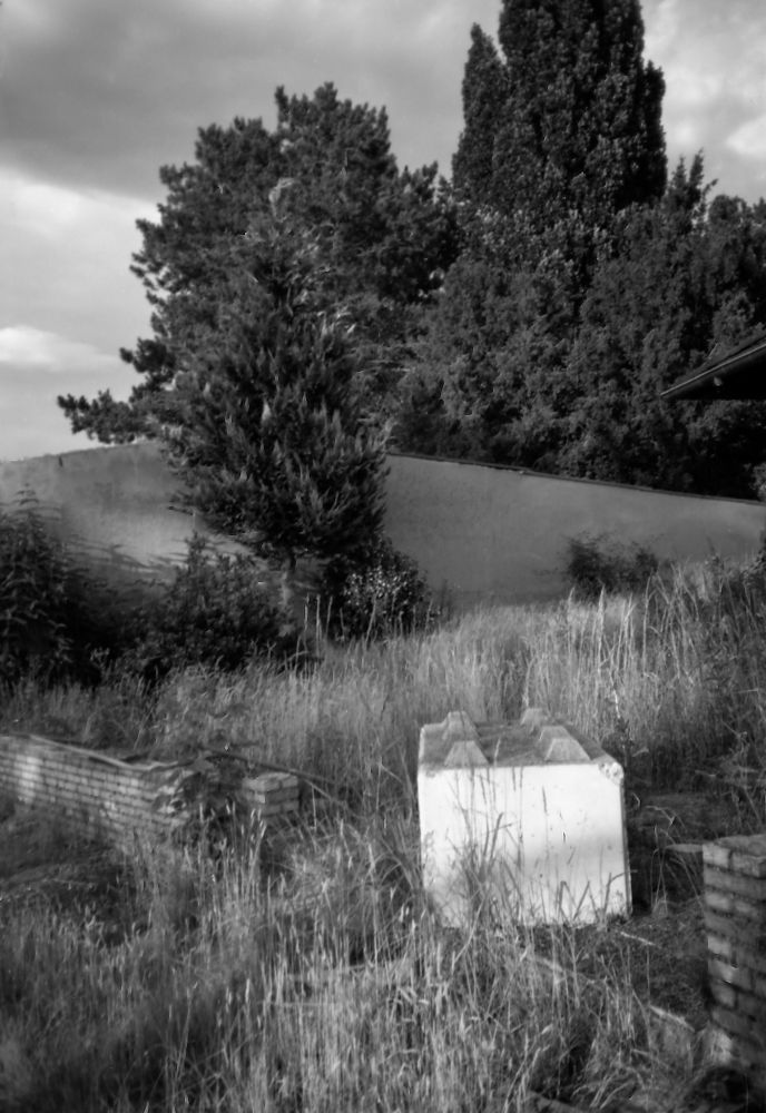 Schwarz-weiß-Landschafts-Aufnahme. Im Vordergrund ein weiß gestrichener Betonblock, wie er im Straßenwesen zum Einsatz kommt. In der Mitte steht ein kleinerer Baum, rechts von einer Mauer weitere höhere Bäume. Insgesamt wirkt das Bild durcheinander und merkwürdig verwaschen, es ist schwer, die Bestandteile der Szenerie genau zu beschreiben.