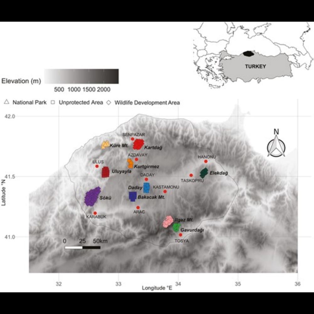 Seasonal habitat-use patterns of large mammals in a human-dominated landscape