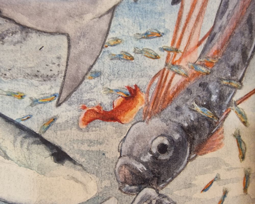 Closeup of the sea slug Spanish dancer