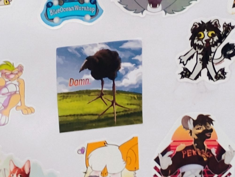 Damn bird (pukeko) meme sticker 