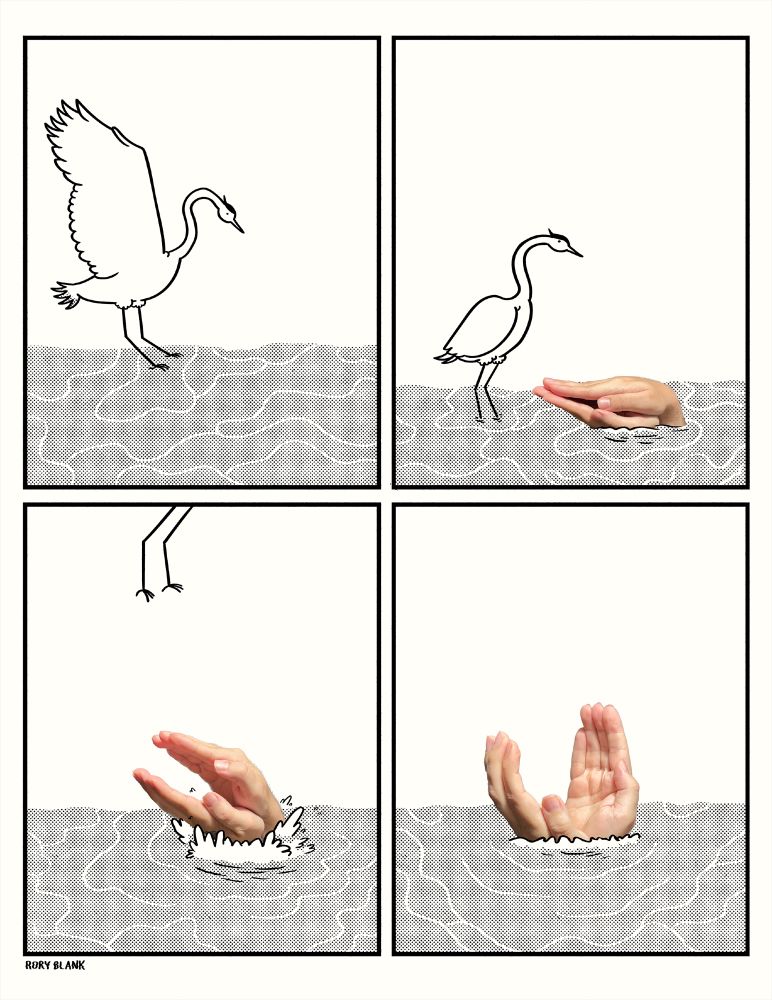 A comic strip.

A moderately well drawn heron lands in a shallow body of water. 

An alligator emerges from the water, except instead of an alligator, it's a pair of human hands. Not a drawing of human hands, an actual photo of human hands, superimposed into the comic strip, being used as a replacement for an alligator. 

The heron flies away as the alligator opens its mouth to attack.

The alligator, which again, I absolutely must emphasize is a photo of a pair of human hands, this entire comic strip resting on the sight gag that a photo of human hands being used as a facsimile of an alligator, opens its mouth to the sky angrily. 