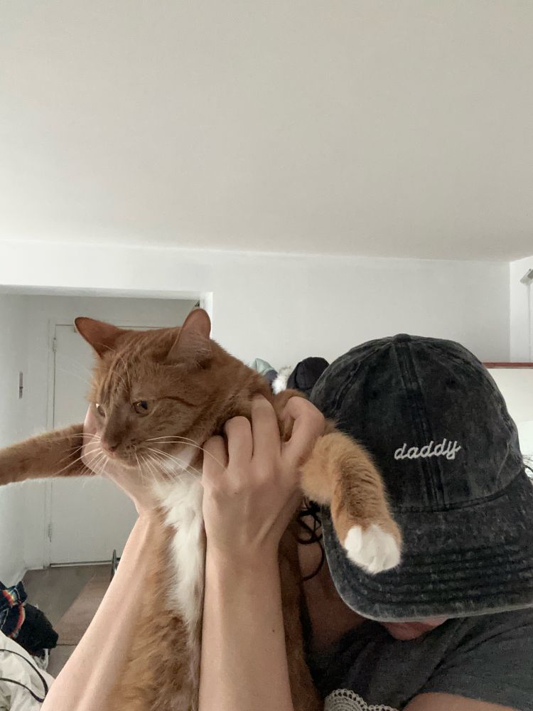 orange cat, mulder, being held up tpose style by vic wearing a hat that says daddy