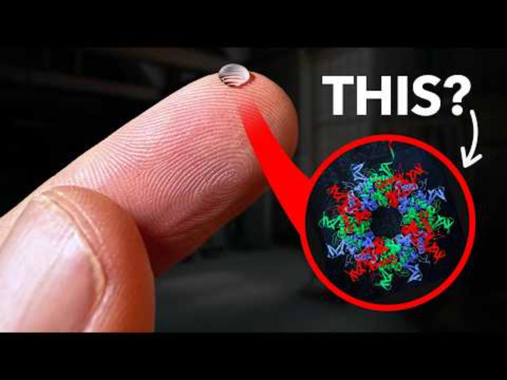 What if all the world's biggest problems have the same solution?