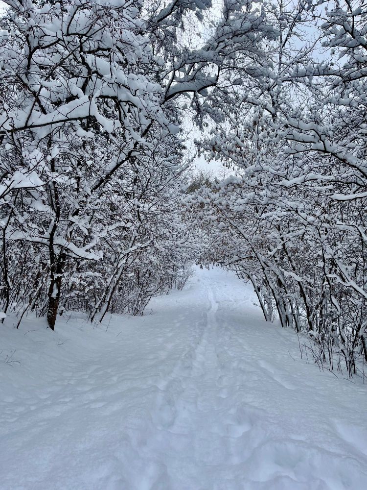 (This is a retake of something I wrote last winter. I was revising it for an anthology when I realized it was becoming a bit skewed out of that anthology’s scope. So here’s version 2.0 …