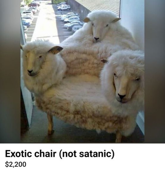A Facebook marketplace listing of a sheepskin-covered chair, including three taxidermy sheep heads. The title is “Exotic chair (not satanic)