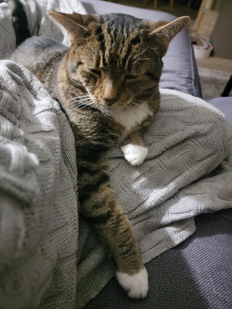 My old man always comforts me when I'm sad 