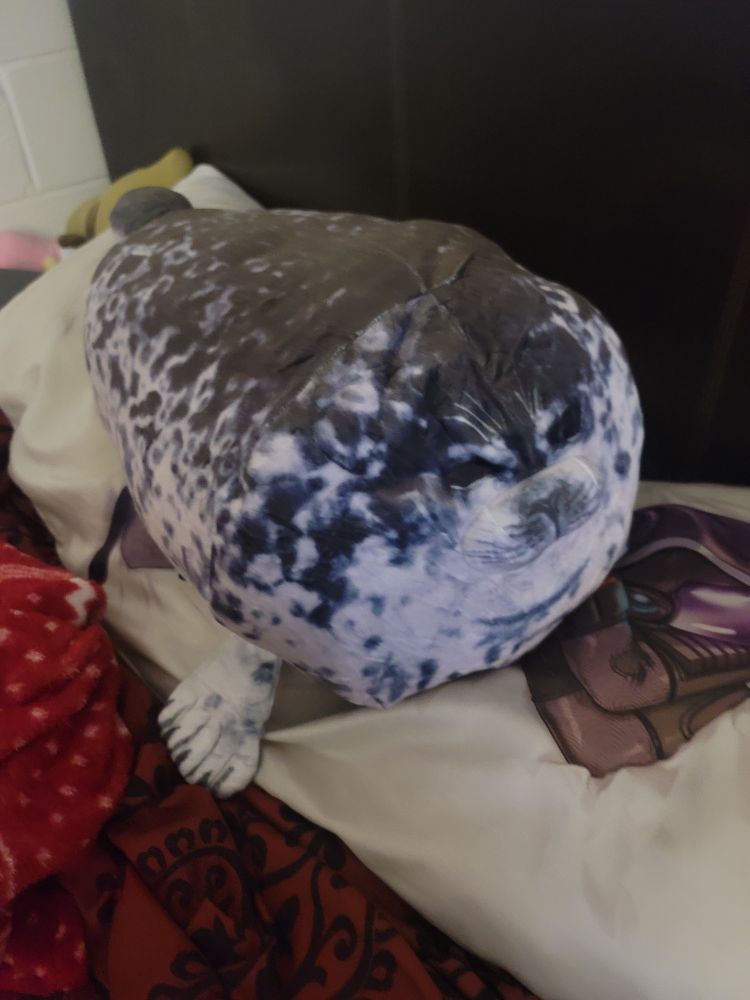 Picture of a round seal plush on a white pillow. Black backboard, white walls, and red sheets 