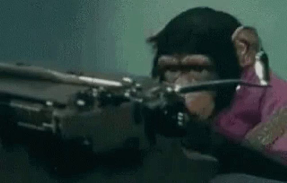 a chimpanzee wearing a pink shirt is holding a gun in its mouth .