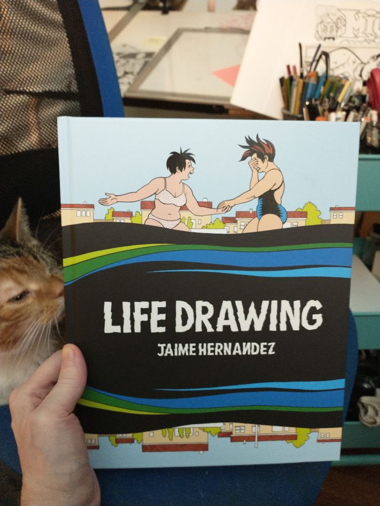 A copy of the new Jaime Hernandez collection, Life Drawing. Taken from the pages of Love and Rockets. Published by Fantagraphics. Approved by Winky the Pirate Cat. 