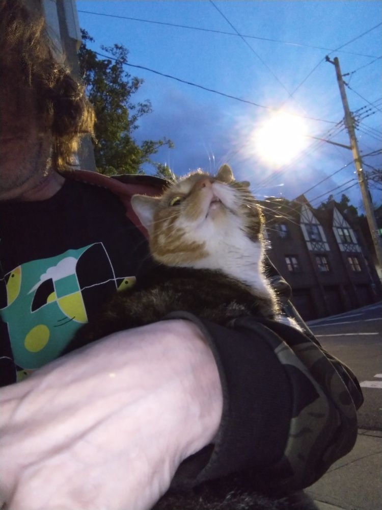 Winky the one-eyed Pirate Cat in my arms, looking up at the darkening night sky. Houses across the street in the background, a street light. 
