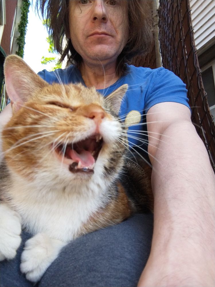 Winky on my lap, same as first picture only she's opening her mouth and looks very happy on my lap. I still need a haircut.