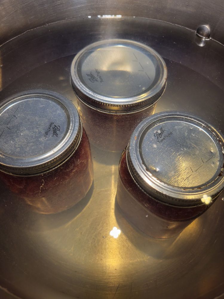 Photo shows 3 jars of strawberry jam in a stainless steel pot, covered by water. They are awaiting the water coming to a rolling boil for the water bath process. 