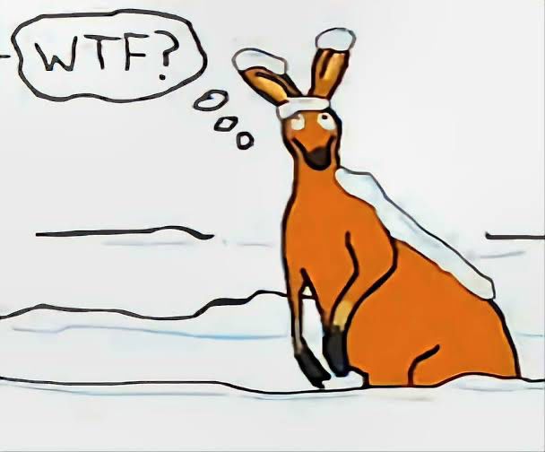 A confused looking kangaroo covered in snow with a speech bubble saying "WTF?". It's from the old animated short "The End of the World", a ridiculous (and hilarious) parody about nuclear war.