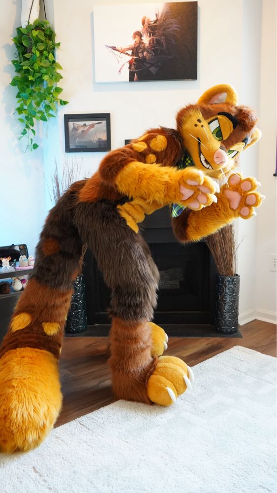 Pine marten fursuit showing off teeth and claws