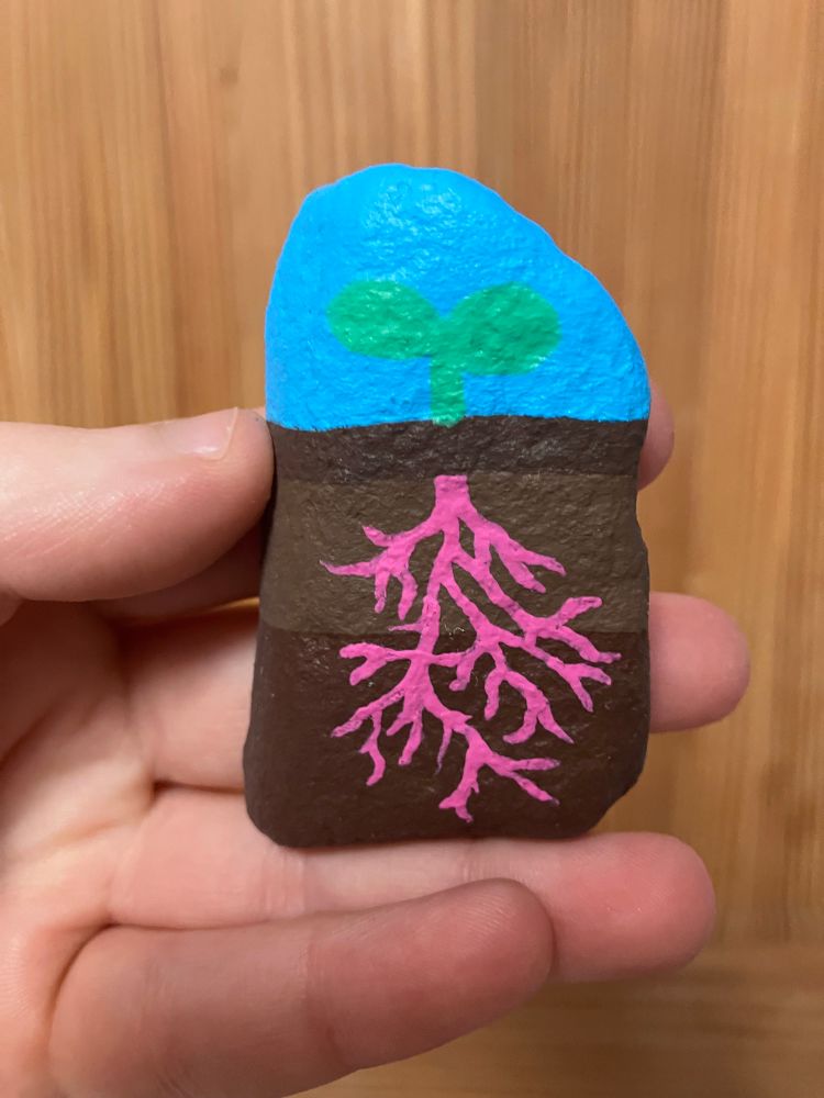 A small painted rock showing a green plant sprouting above the ground with a blue sky. Under the ground there are 3 layers of dirt along with pink roots. The pink, green and blue are of the polysexual flag