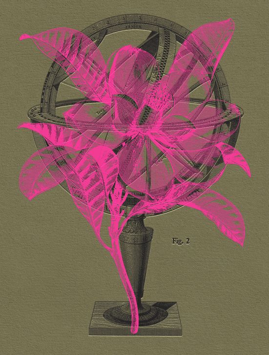 A print on textured green paper. In black, an antique engraved illustration of an armillary sphere on a stand. Overlaid on that, in hot pink ink, an antique botanical illustration of a magnolia flower. Vertical orientation, with black text to the side, "Fig. 2"