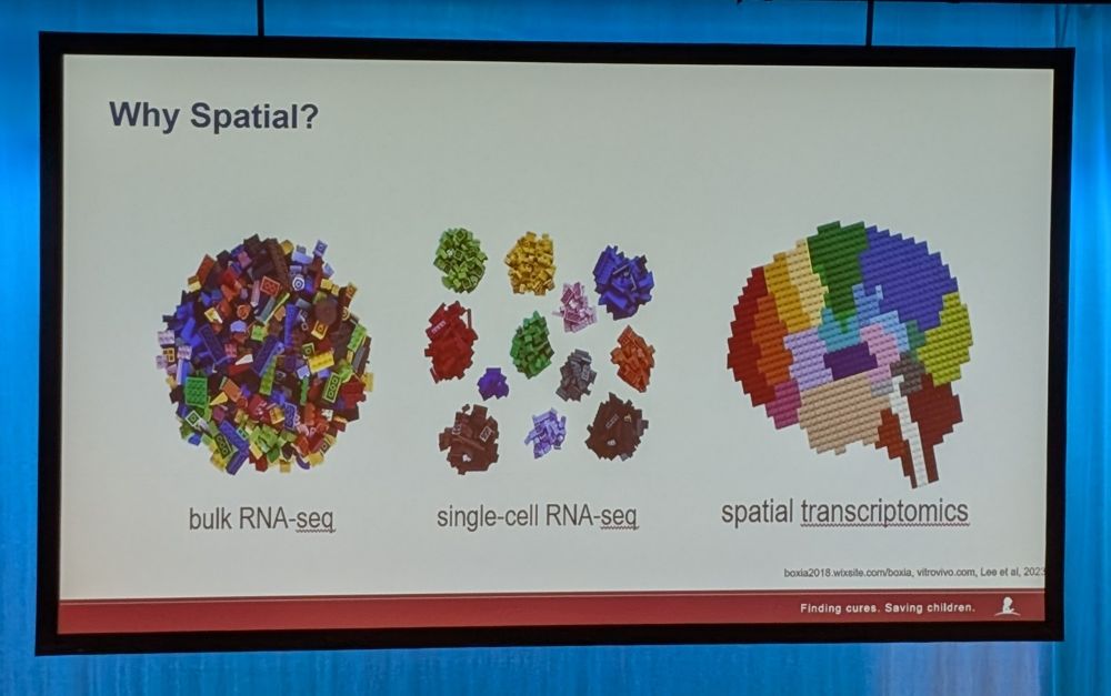 bulk RNA-seq: a big pile of different colored legs all mixed up
single-cell RNA-seq: small piles of Legos organized by color
spatial transcriptomics: image of the brain built out of Legos