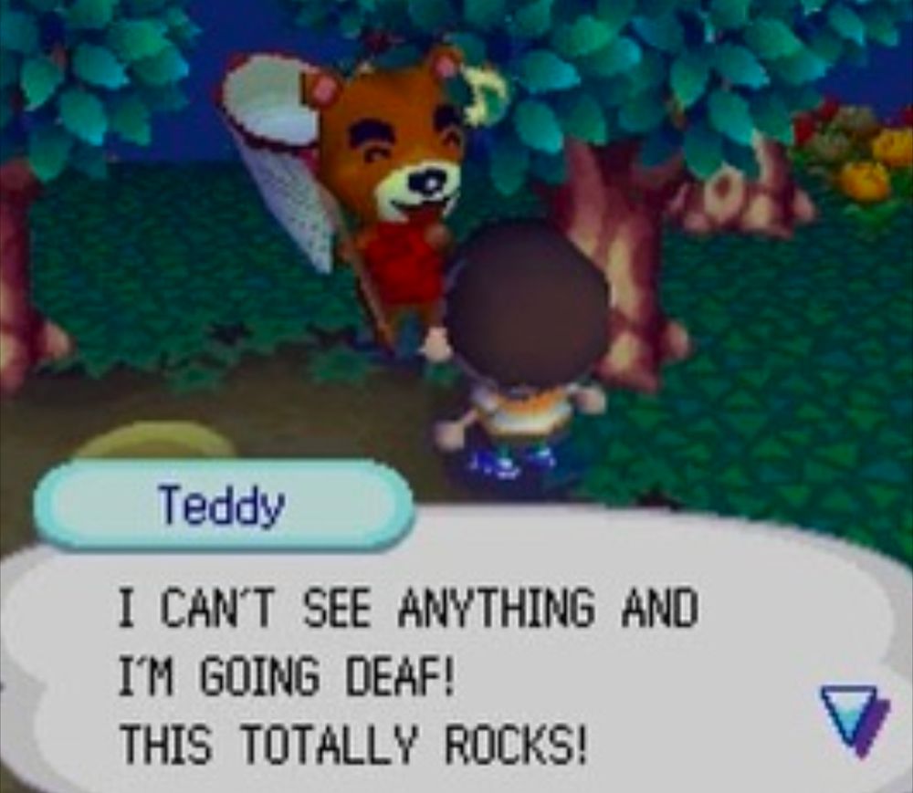 animal crossing screenshot where teddy says, "i can't see anything and i'm going death! this totally rocks!"