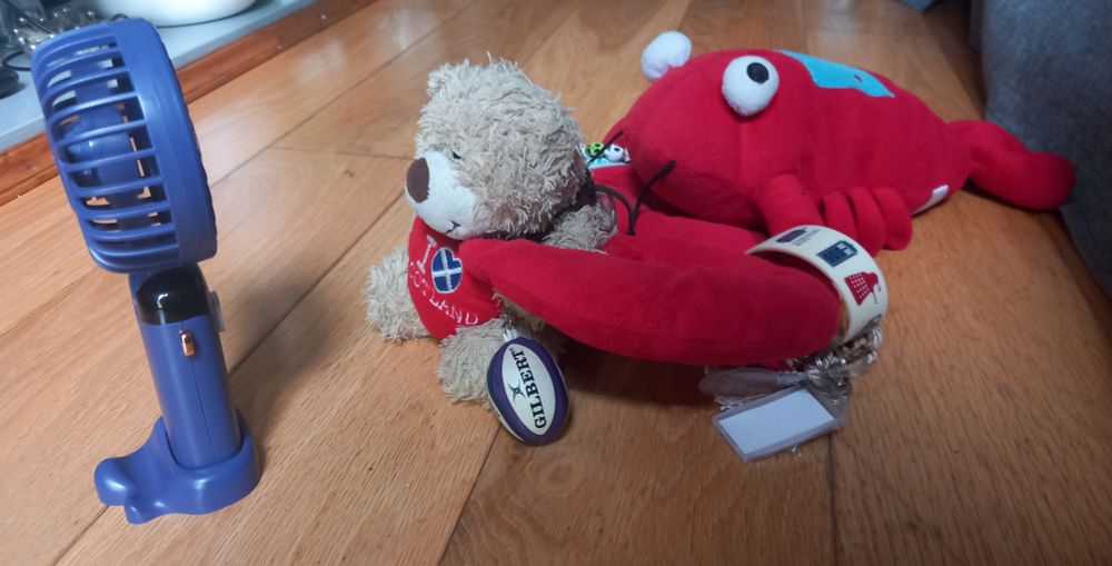 Whilst Aubrey Bear cools down in front of a fan, Toby the lobster gently pinches him on the arm 