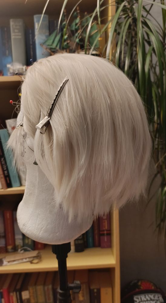 Foto von einem Perückenkopf (schräg von hinten) mit weißblonder Perücke im Kurzhaarschnitt drauf. Im Hintergrund ist ein Bücherregal und rechts im Bild ein paar Blätter einer Pflanze.