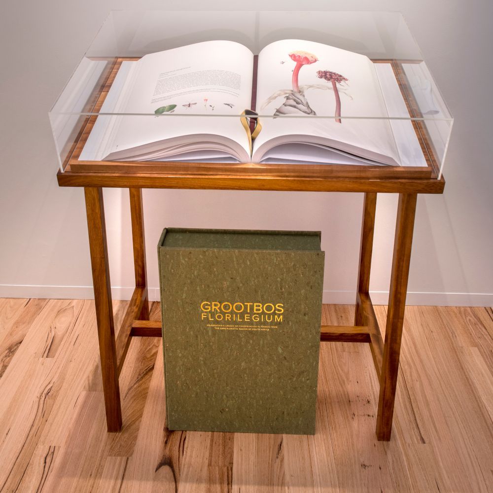 #Grootbos #ChelseaFlowerShow2025 #RHS2025 #GoldMedalist #EcoTravel #SustainableTravel #CapeFloralKingdom #Fynbos #Florilegium #BotanicalArt #ConservationTourism #CarbonNegative #WildlifeConservation #NatureReserve #GreenTravel #EcoLuxury #TravelWithPurpose #VisitSouthAfrica #NatureLovers #earthchangers #MarineBigFive #WhaleWatching #BotanicalWonder #EndangeredSpecies #EcoLodge #TravelInspiration #SustainabilityMatters #WildlifeHaven #BookWithUs