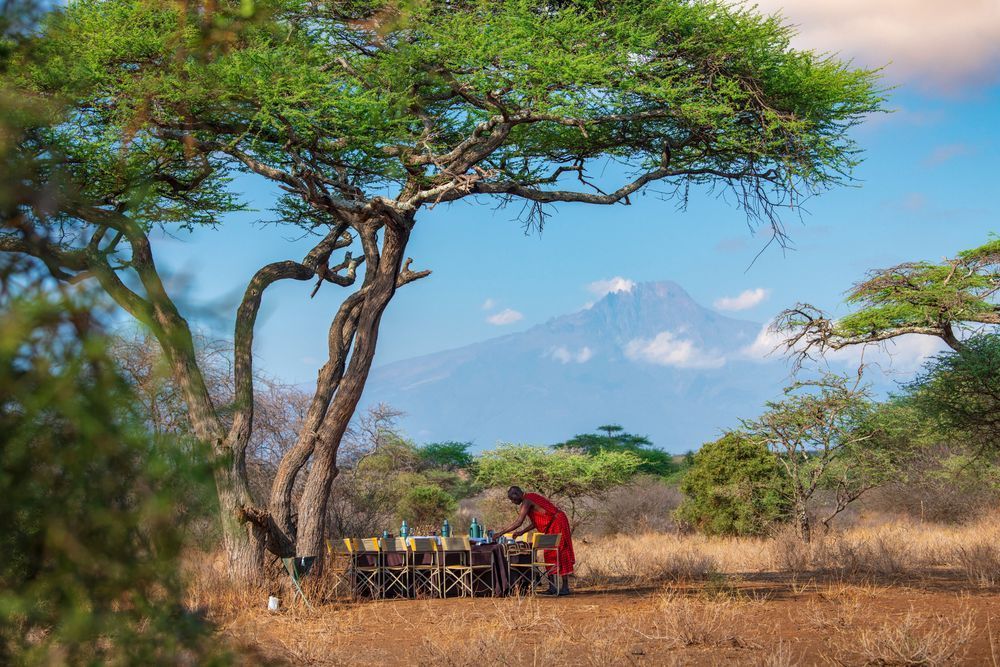 #WorldDayToCombatDesertificationAndDrought #REDDPlus #ClimateAction #SustainableTourism #CarbonOffset #EcoTravel #RegenerativeTourism #MaasaiCommunities #ForestConservation #ChyuluHills #WildlifeProtection #ZeroCarbonTravel #EarthChangers #NatureBasedSolutions #DrylandRestoration #ClimateJustice #CommunityLedConservation #SustainableAfrica #TourismForGood #TravelWithPurpose #ProtectForests #EcoConsciousTravel #ResponsibleTourism #GreenTravel #CarbonCredits #BiodiversityConservation #KenyaTravel #SustainableDevelopmentGoals #TravelSustainably #ClimateResilience