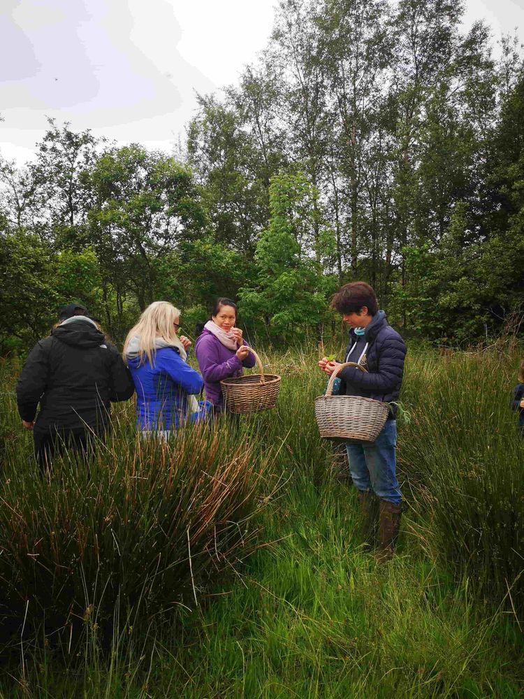 #FunFactFriday
#JOMO2025
#JoyOfMissingOut
#UnplugAndUnwind
#DisconnectToReconnect
#NatureOverNotifications
#SkipTheScroll
#DigitalDetox
#FeedsOrForests
#WiFiOrWaves
#CampfireOverCalendar
#SustainableTravel
#ConsciousTravel
#EcoTourism
#TravelWithPurpose
#PeacefulPlaces
#MindfulTravel
#SlowTravel
#OffTheGrid
#EarthChangers
#TravelResponsibly
#WanderWithPurpose
#LeaveNoTrace
#NatureEscape
#RewildYourSoul
#EcoFriendlyTravel
#RealMomentsOnly
#NoFiltersNeeded
#ExploreSustainably
#SustainableLiving